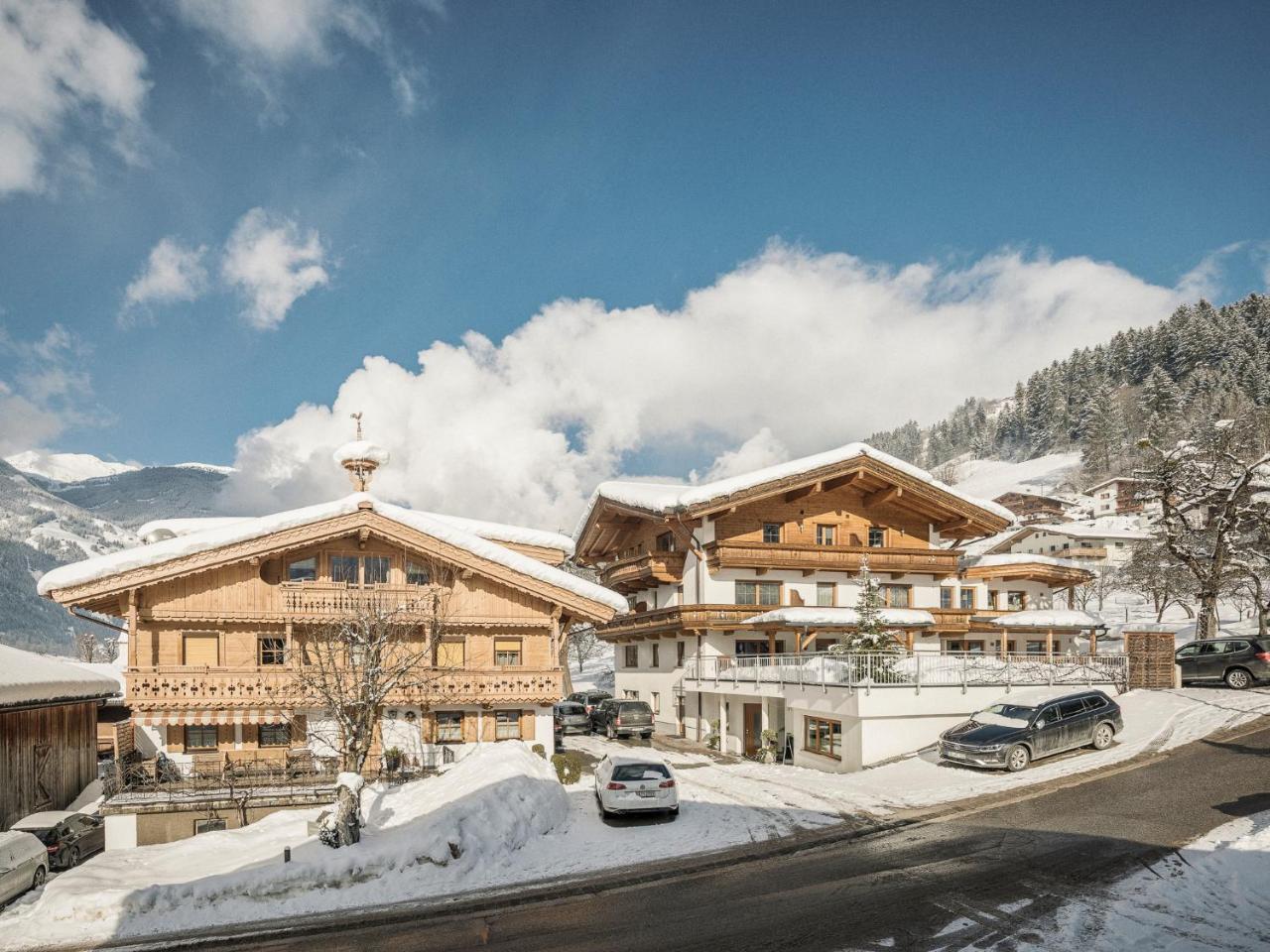 Leitnerhof Hotel Ramsau im Zillertal Ngoại thất bức ảnh